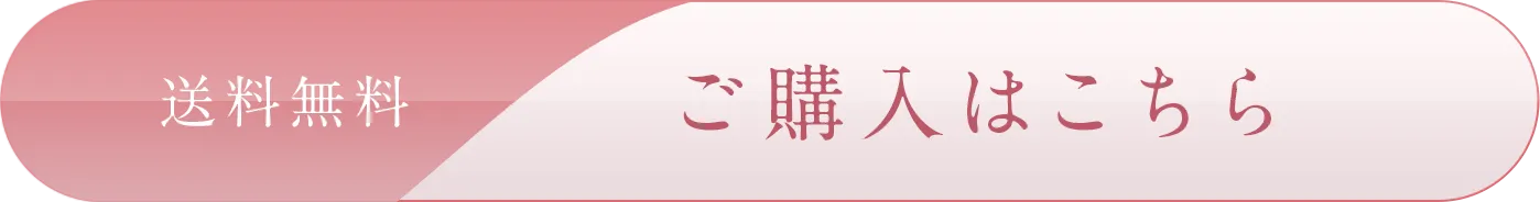送料無料 ご購入はこちら