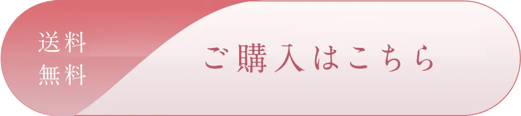 送料無料 ご購入はこちら