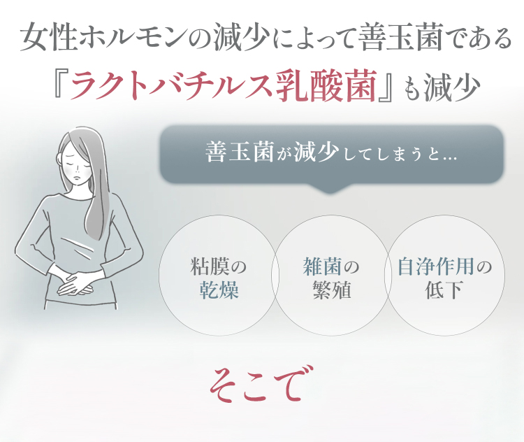 ラクトバチルス乳酸菌も減少