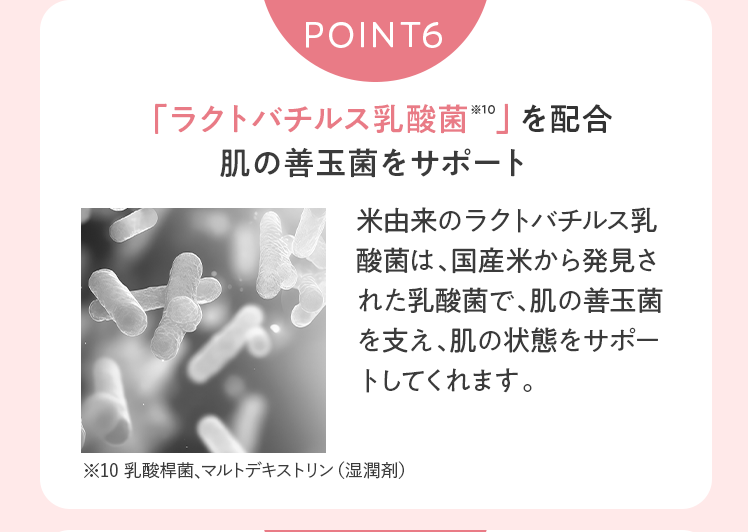 POINT6｜「ラクトバチルス乳酸菌」を配合。肌の善玉菌をサポート