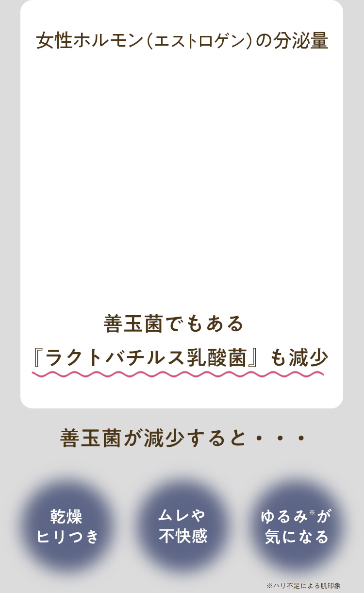 女性ホルモン（エストロゲン）の分泌